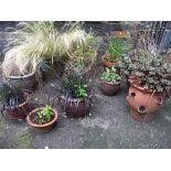 A SELECTION OF TEN PLANTERS TO INCLUDE CERAMIC AND TERRACOTTA
