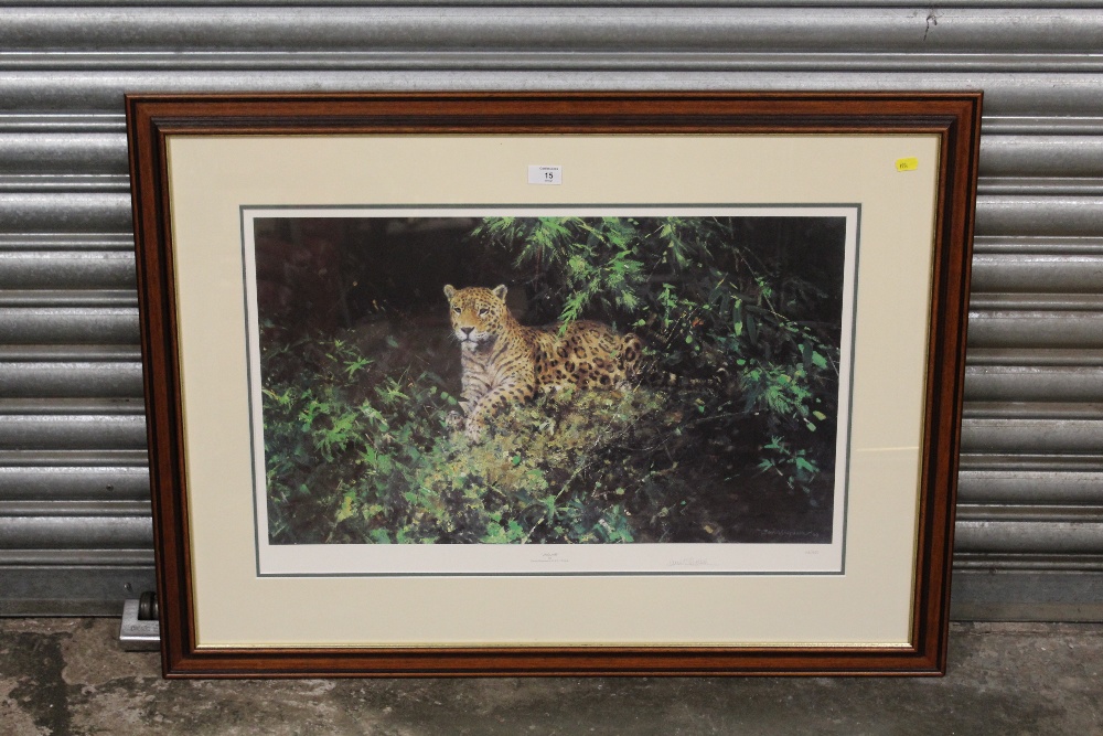 A FRAMED AND GLAZED SIGNED LIMITED EDITION DAVID SHEPHERD PRINT ENTITLED 'JAGUAR' 48/850, 70 X 45