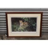 A FRAMED AND GLAZED SIGNED LIMITED EDITION DAVID SHEPHERD PRINT ENTITLED 'JAGUAR' 48/850, 70 X 45