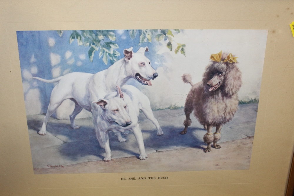 CHRISTOPHER GIFFORD AMBLER - A FRAMED AND GLAZED PRINT OF DOGS ENTITLED HE, SHE AND THE HUSSY, TOGE - Image 2 of 2