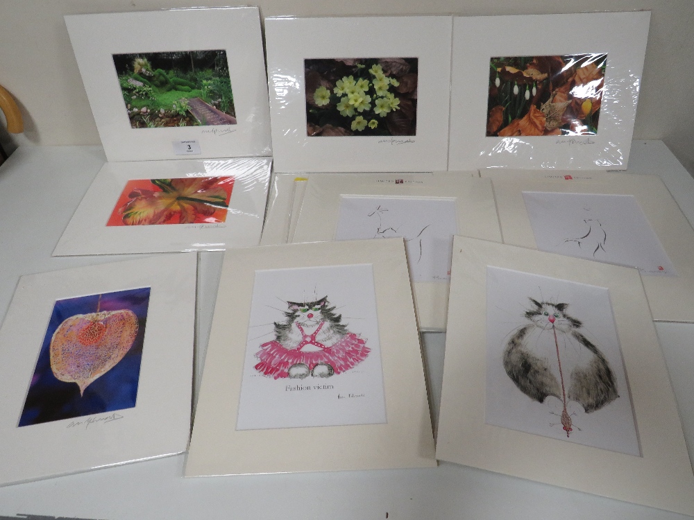 A COLLECTION OF MODERN AND SMALL PHOTOGRAPHY PIGMENT INK PRINTS, SIGNED TO MOUNTS, AND OTHER