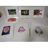 A COLLECTION OF MODERN AND SMALL PHOTOGRAPHY PIGMENT INK PRINTS, SIGNED TO MOUNTS, AND OTHER