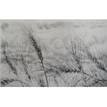 ANDRE JACQUEMIN (1904-1992). Study of a barley field, signed in pencil lower right and signed and