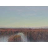 S. WIDGERY (XX). British school, an extensive marshland scene, signed lower left, watercolour and