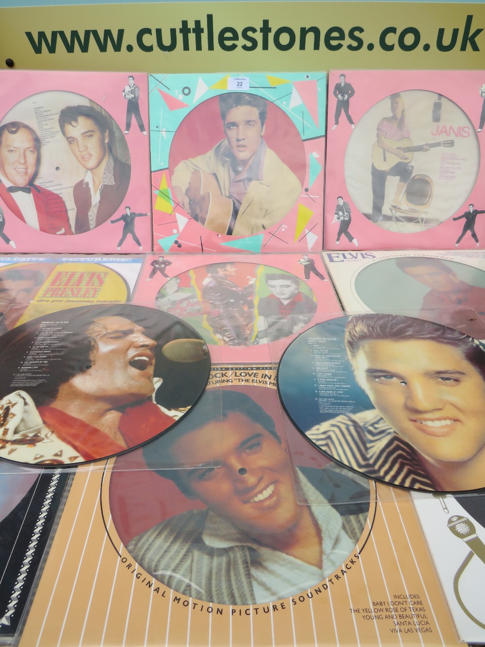 A COLLECTION OF NINE ELVIS PRESLEY PICTURE DISCS, together with an Elvis Presley and Bill Haley Dan