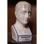 A PHRENOLOGY HEAD