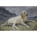 A MODERN FRAMED OIL ON BOARD OF A LABRADOR ENTITLED 'JESS-PIG' SIGNED LOWER RIGHT