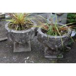 A PAIR OF STANDING CIRCULAR GARDEN PLANTERS PLUS CONTENTS