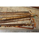 A COLLECTION OF ASSORTED WALKING STICKS