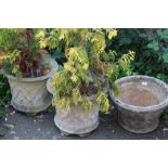 TWO MATCHING LARGE CIRCULAR PLANTERS WITH CONTENTS, PLUS A SIMILAR EXAMPLE (3)