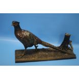 A COLD PAINTED SPELTER PHEASANT TABLE CIGAR LIGHTER missing wand, L 31 cm