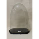 AN ANTIQUE GLASS DISPLAY DOME WITH EBONISED BASE, overall H 51 cm, W 38 cm, D 19.5 cm, just glass