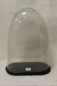 AN ANTIQUE GLASS DISPLAY DOME WITH EBONISED BASE, overall H 51 cm, W 38 cm, D 19.5 cm, just glass