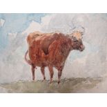 EDWARD DUNCAN (1803 - 1882). A study of a cow in a meadow. Signed with initials lower right,