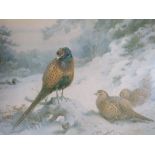 ARCHIBALD THORBURN (1860-1935). A Winters landscape with hen and cock pheasants, signed in pencil