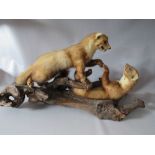 A TAXIDERMY MODEL OF TWO PINE MARTENS, mounted on a naturalistic base, approx overall H 41 cm, L