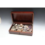 A MAHOGANY BOX CONTAINING GEOLOGICAL ROCKS AND FOSSILS, W 44 cm