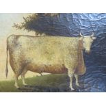 (XIX / XX). A pair of naive studies of prize cattle in wooded meadows. Unsigned, oils on canvas,