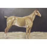 (XX). A study of a racehorse. Unsigned, oil on canvas, unframed, 50 x 61 cm