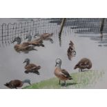 MARGARET SEATON (XX). British School. Ducks at water's edge. Signed lower middle to right,