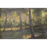 GINNESS (XX). British School. A woodland scene with pond. Signed lower right, oil on canvas, framed,