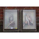 TAXIDERMY - A PAIR OF WALL HANGING FRAMED DISPLAYS CONTAINING STUDIES OF OWLS PERCHED ON A BRANCH,
