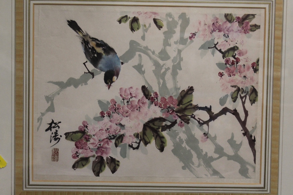 A FRAMED AND GLAZED SIGNED ORIENTAL WATERCOLOUR OF A BIRD AND TREE BLOSSOM, OVERALL HEIGHT 53.5 CM