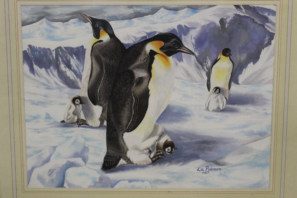 A FRAMED AND GLAZED WATERCOLOUR OF PENGUINS AND THEIR CHICKS SIGNED LIZ PODMORE 1987 LOWER RIGHT