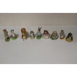 A COLLECTION OF ROYAL ALBERT BEATRIX POTTER FIGURES TO INCLUDE MISS MOPPET, SQUIRREL NUTKIN ETC. (