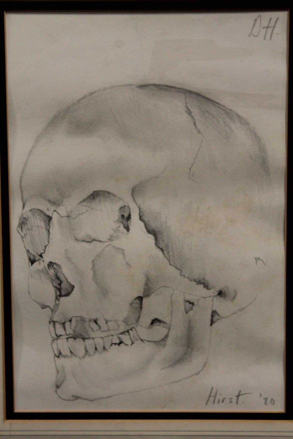 AN UNFRAMED MOUNTED PENCIL SKETCH STUDY OF A SKULL SIZE - 29CM X 20CM