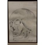 AN UNFRAMED MOUNTED PENCIL SKETCH STUDY OF A SKULL SIZE - 29CM X 20CM