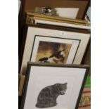 A BOX OF PICTURES AND PRINTS TO INCLUDE A PASTEL PICTURE OF A SEATED CAT, LOWRY PRINT ETC.
