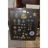 A FRAMED AND GLAZED DISPLAY OF STAFFORDSHIRE RELATED MILITARY BADGES AND BUTTONS ETC