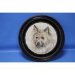 A FRAMED AND GLAZED WATERCOLOUR DEPICTING A CAIRN TERRIER
