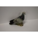 A BESWICK GREY PIGEON