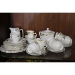 A QUANTITY OF SALISBURY TEA AND DINNERWARE