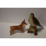 A BESWICK THRUSH AND A DOULTON DOG
