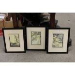 A SET OF THREE FRAMED AND GLAZED ALICE IN WONDERLAND PRINTS