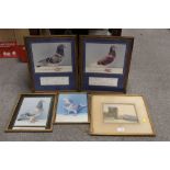 FOUR FRAMED PIGEON RACING INTEREST PHOTOGRAPHS, TOGETHER WITH A FRAMED AND GLAZED WATERCOLOUR SIGNED