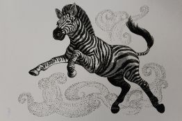 AN UNFRAMED MOUNTED PEN DRAWING OF A ZEBRA BY CECIL CURTIS LOWER LEFT - SIZE 27 CM BY 27 CM