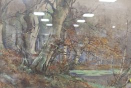 St Mary's Abbey - A FRAMED AND GLAZED WATERCOLOUR OF A WOODED LANDSCAPE SIGNED F K GREGORY LOWER