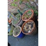 FOUR MEDIUM CERAMIC / TERRACOTTA PLANTERS AND CONTENTS - A/F (4)