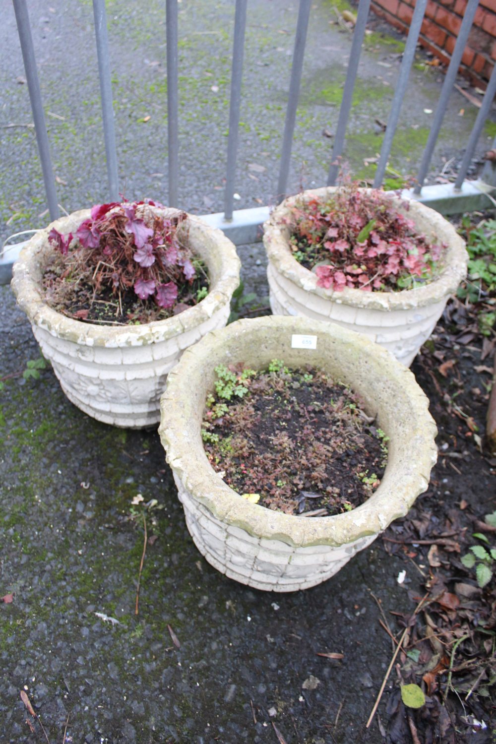 THREE MATCHING CIRCULAR PLANTERS PLUS CONTENTS H- 31 CM