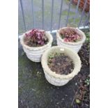 THREE MATCHING CIRCULAR PLANTERS PLUS CONTENTS H- 31 CM