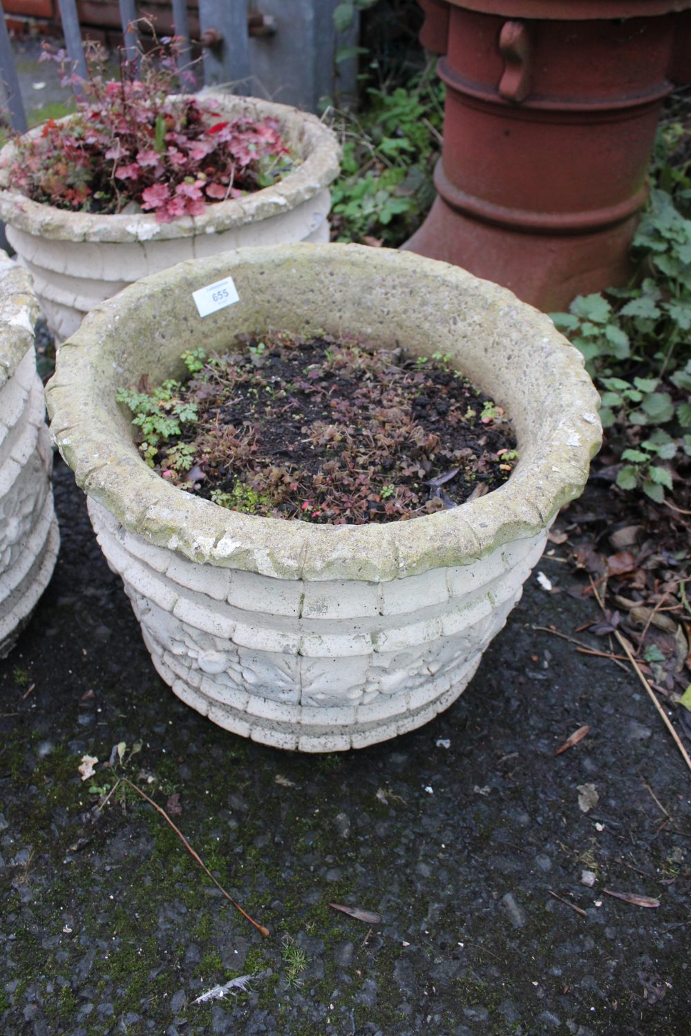 THREE MATCHING CIRCULAR PLANTERS PLUS CONTENTS H- 31 CM - Image 3 of 4