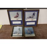 FOUR FRAMED PIGEON RACING INTEREST PHOTOGRAPHS