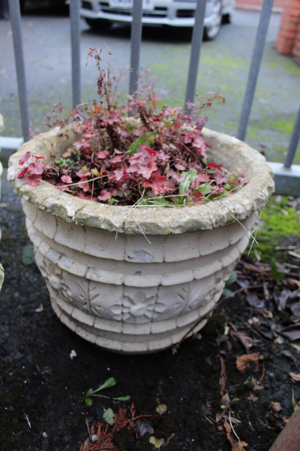 THREE MATCHING CIRCULAR PLANTERS PLUS CONTENTS H- 31 CM - Image 4 of 4