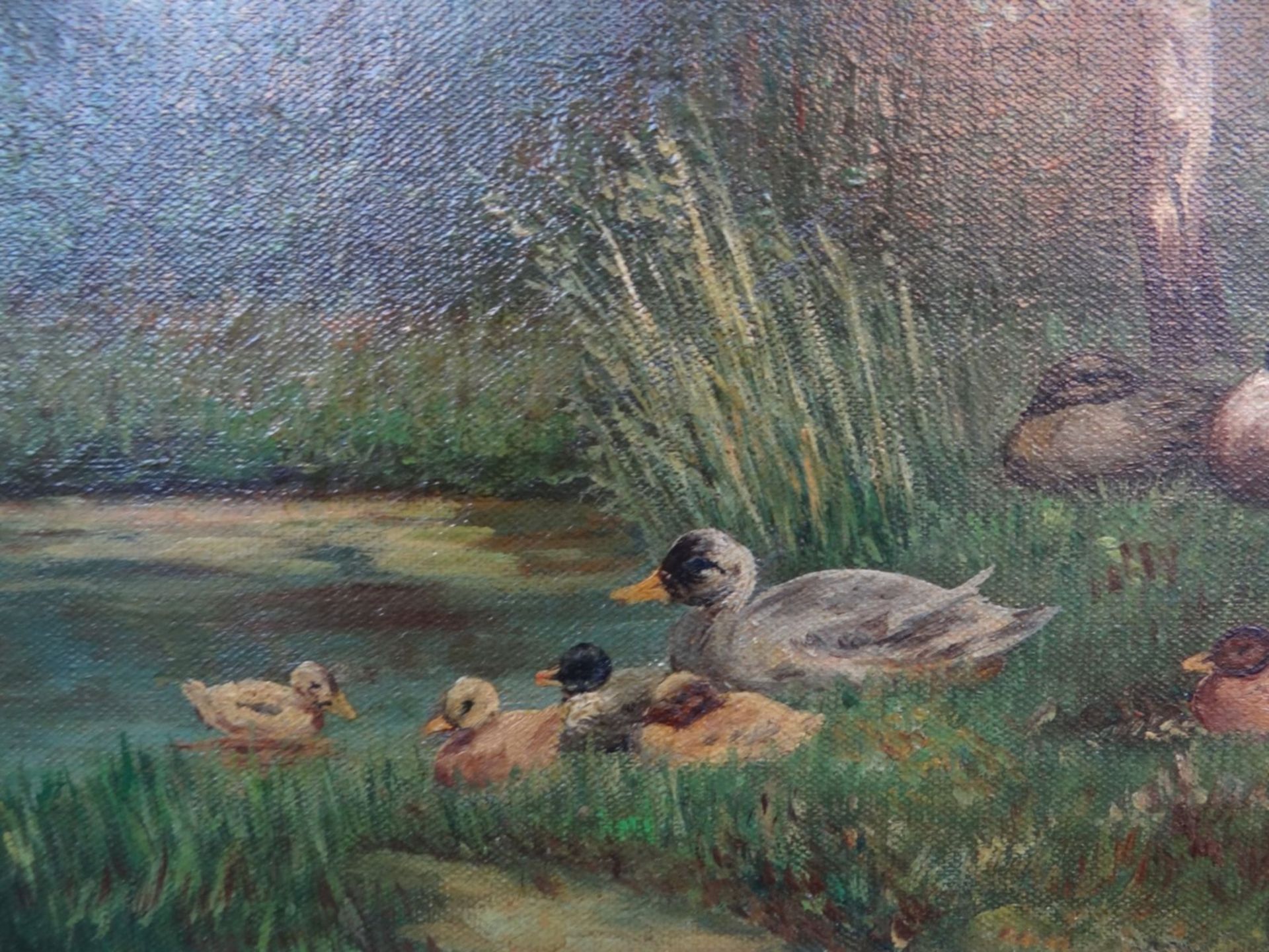 unleserl. signiert "Enten" Öl/Leinen, gerahmt, RG 38x44 cm - Bild 3 aus 5