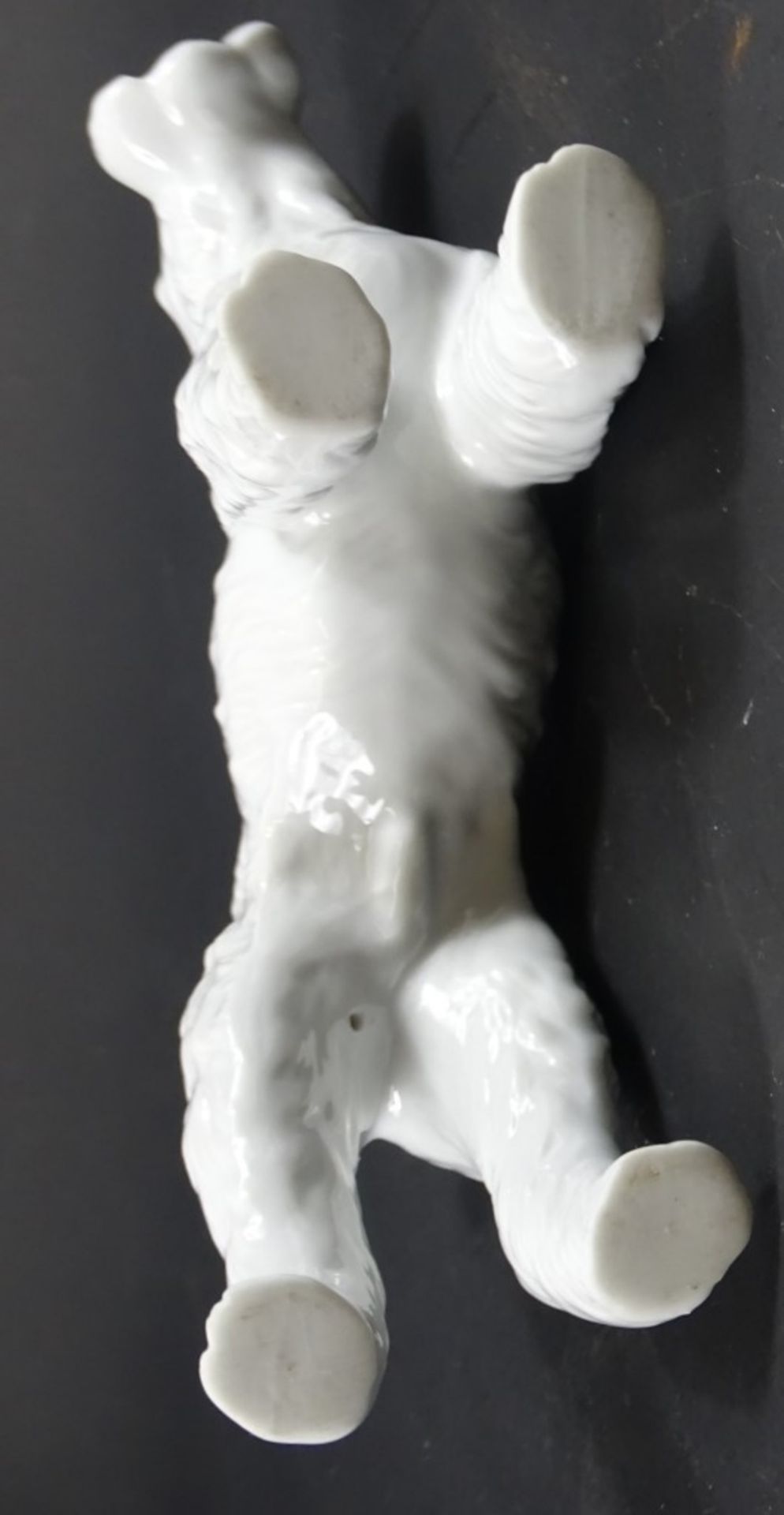 Terrierfigur, Weißporzellan, ungemarkt, H. 14,5, L. ca. 16 cm - Bild 5 aus 5