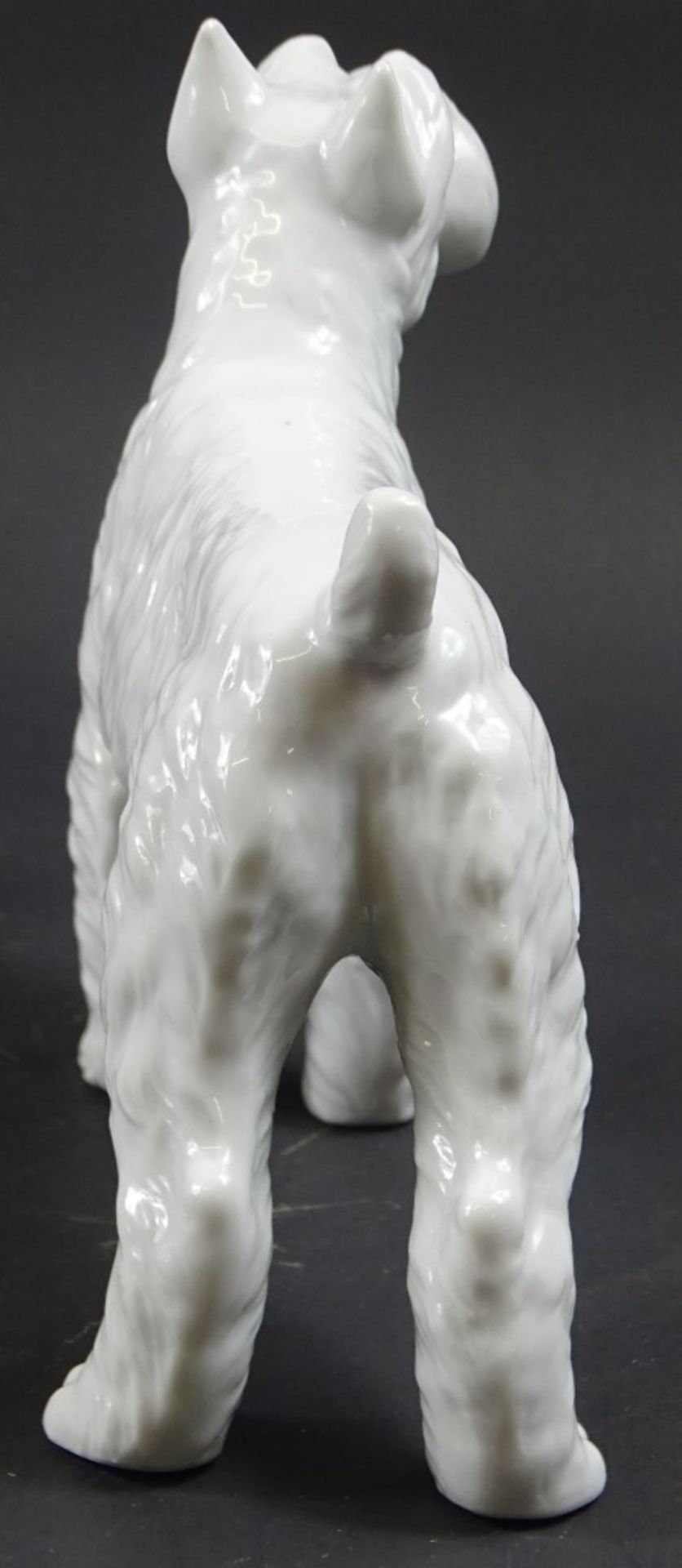 Terrierfigur, Weißporzellan, ungemarkt, H. 14,5, L. ca. 16 cm - Bild 3 aus 5